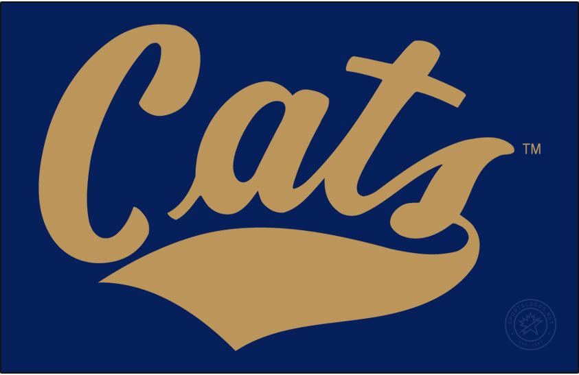 Montana State Bobcats 2017-Pres Wordmark Logo iron on transfers for clothing